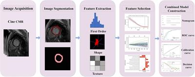 Non-contrast cine cardiovascular magnetic resonance-based radiomics nomogram for predicting microvascular obstruction after reperfusion in ST-segment elevation myocardial infarction